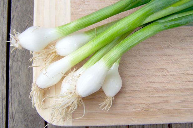 Spring Onions