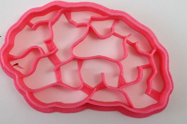 Brain Cookie Cutter