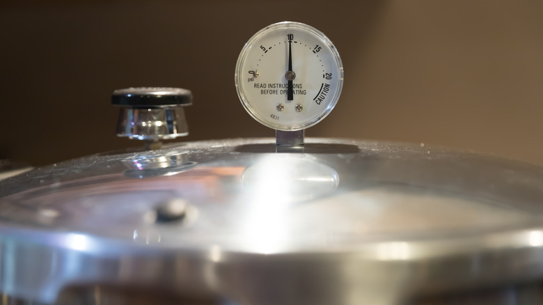 Pressure cooker gauge