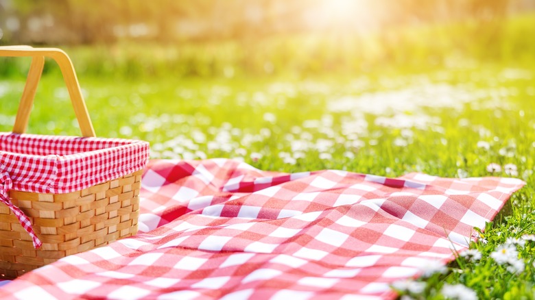 Picnic blanket and basket