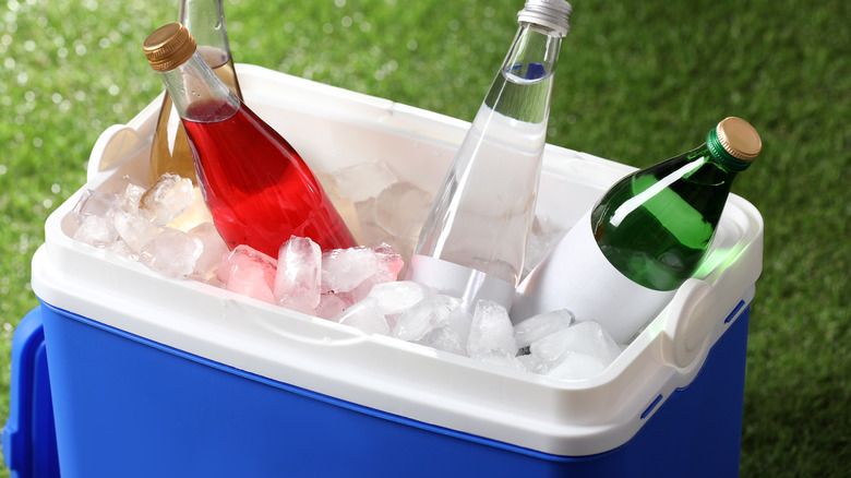 Ice cooler with bottles