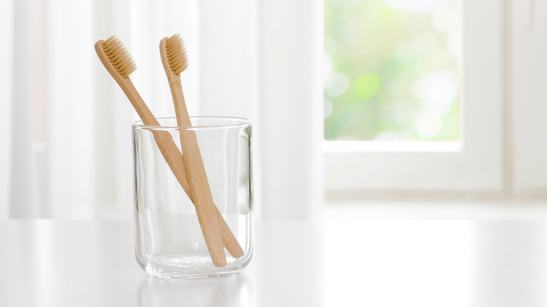 pair of toothbrushes in cup