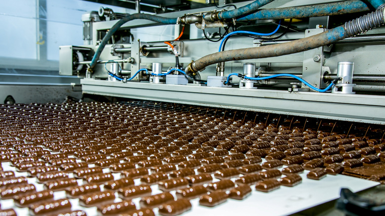 chocolate bars on conveyor belt