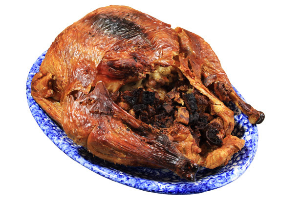 Damaged Turkey