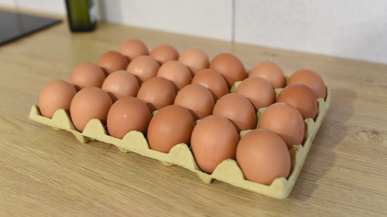 eggs in carton on counter