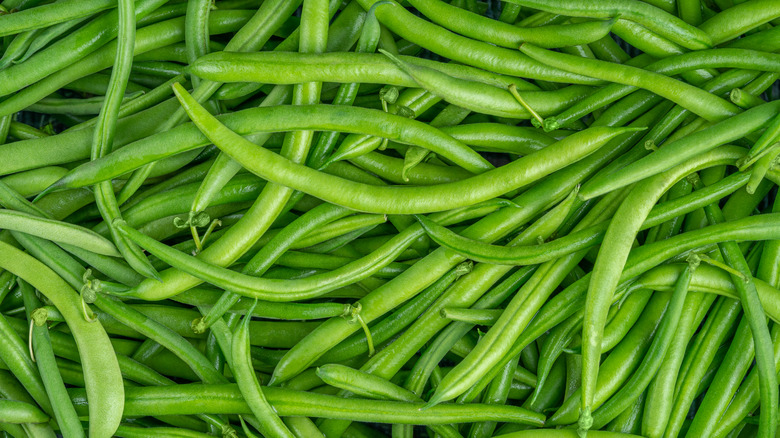 Pile of fresh green beans