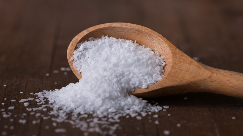 kosher salt spilling from spoon