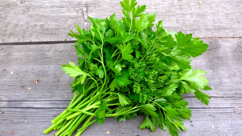 bunch of parsley