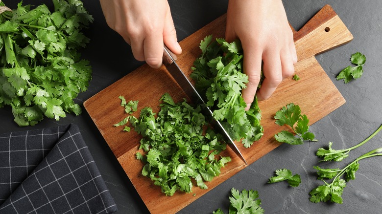 person chopping cilantro on wood