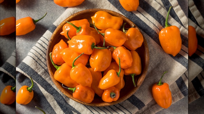 bowl of habanero peppers