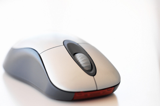 A Computer Mouse