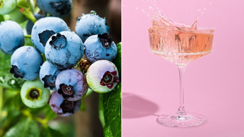 Blueberries next to pink champagne 