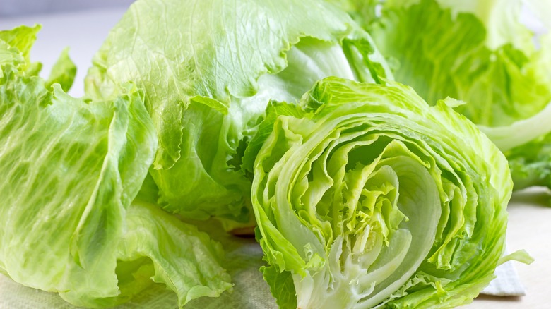 Iceberg lettuce