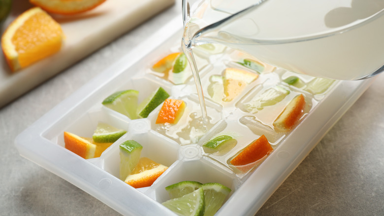 citrus ice cubes in tray