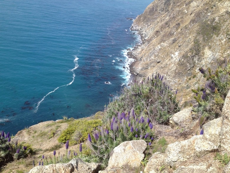 The Entire Coastline Is a National Monument