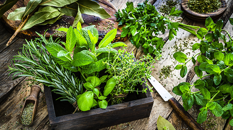 Assorted fresh herbs