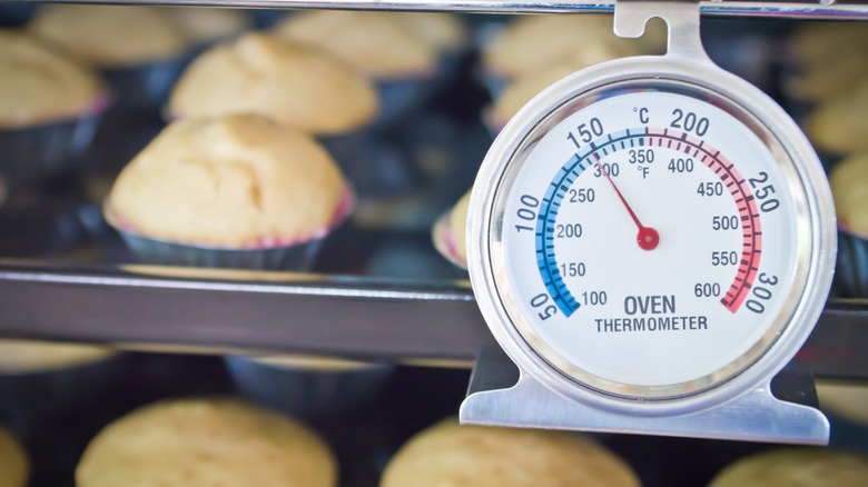 Oven thermometer