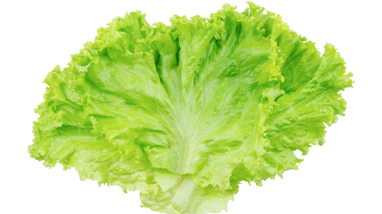 Green lettuce leaves