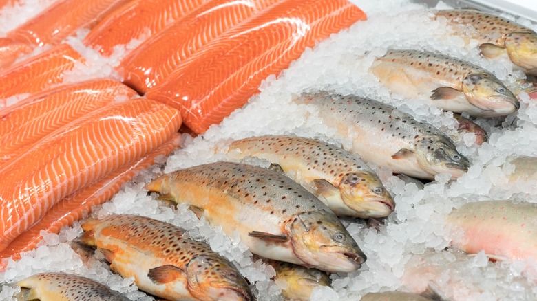 fish fillets and trout on ice