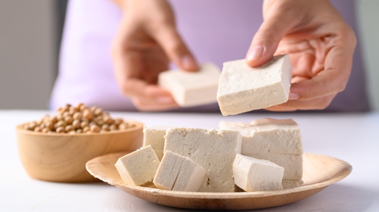 Hands holding tofu