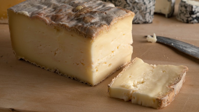 Piece of Taleggio cheese