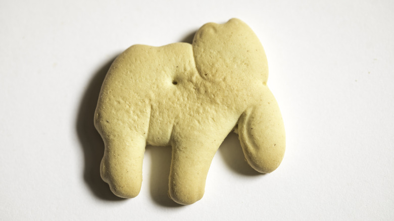 Elephant animal cracker close up