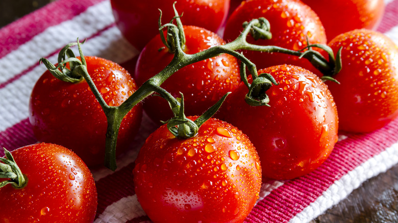 close up of campari tomatoes