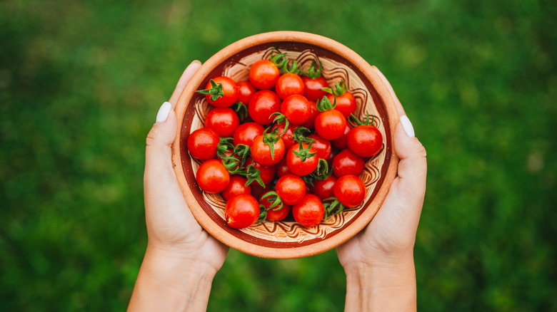 holding bowl of cherry tomatoes