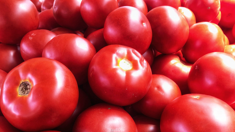 close up of early girl tomatoes