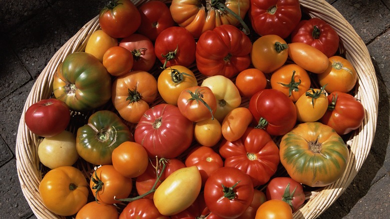 various heirloom tomatoes