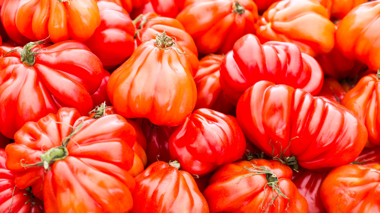 bunch of oxheart tomatoes