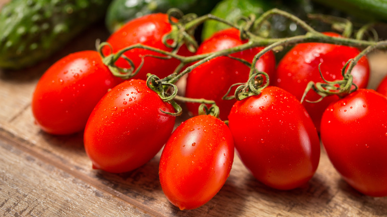 roma tomatoes on the vine