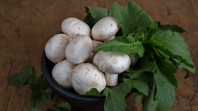 Bowl of mushrooms with epazote