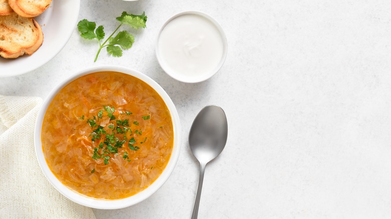 Bowl of Russian cabbage soup