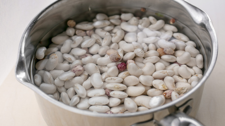 Beans in pot of water