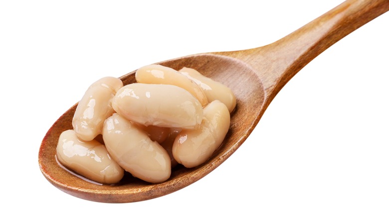 Canned cannellini beans on spoon