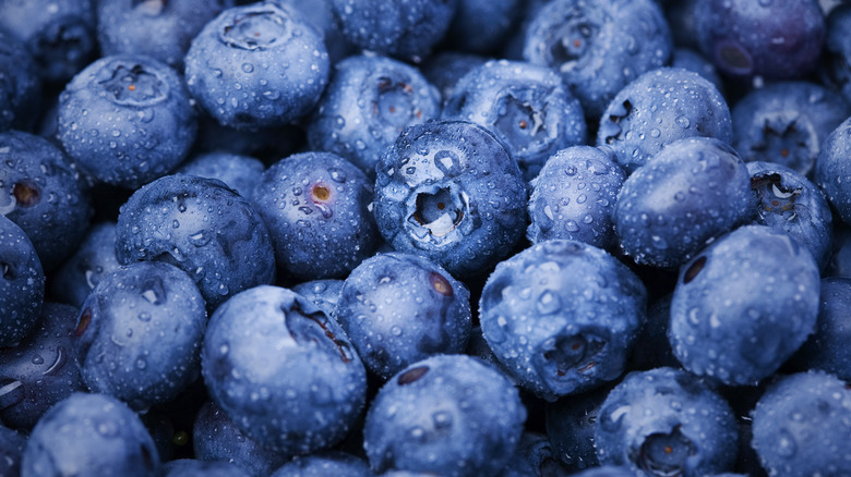 Close-up of blueberries