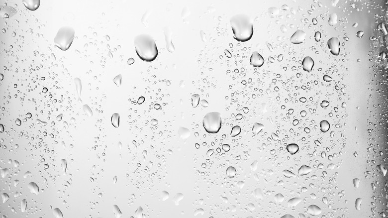 Water droplets on glass