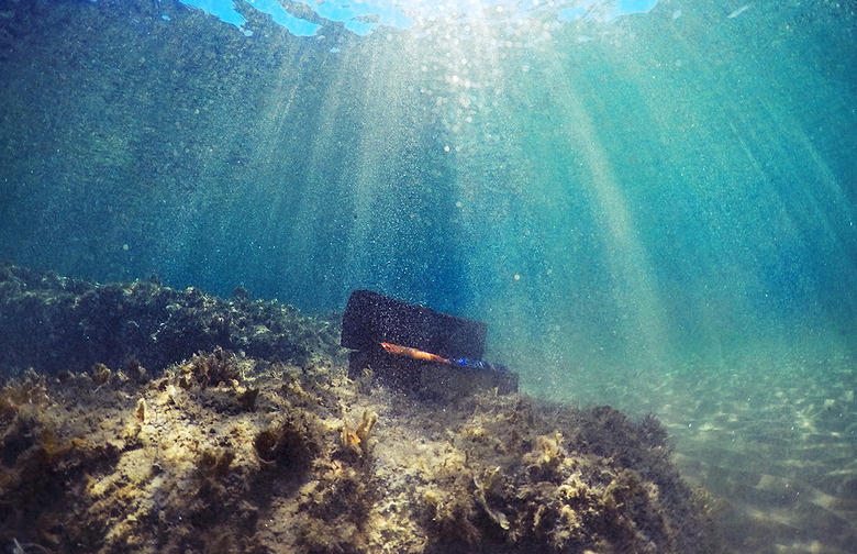 Florida Is Hiding Buried Treasure