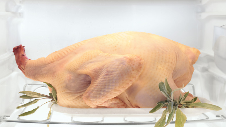 Raw turkey in refrigerator