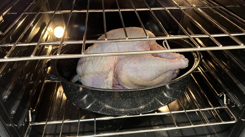 Raw turkey in oven