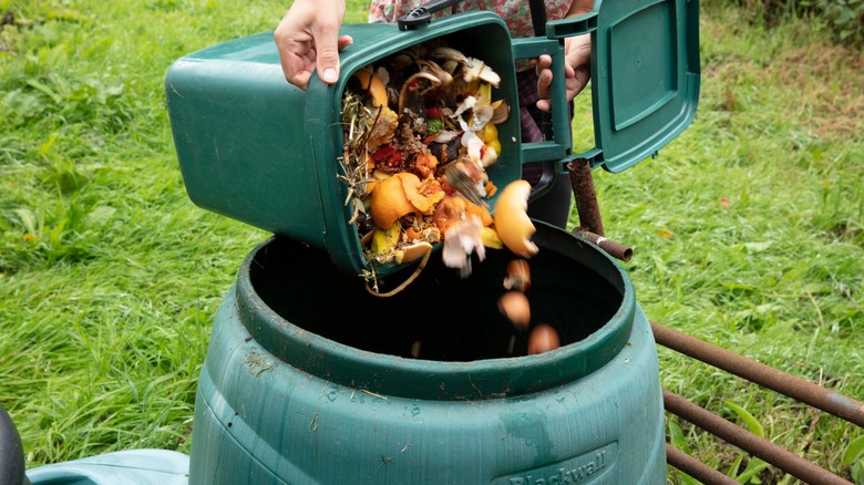 dumping food scraps into compost bin