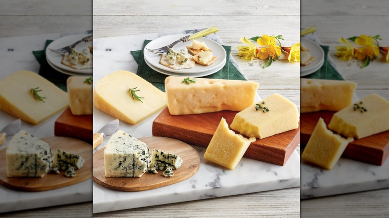 Four cheeses on board