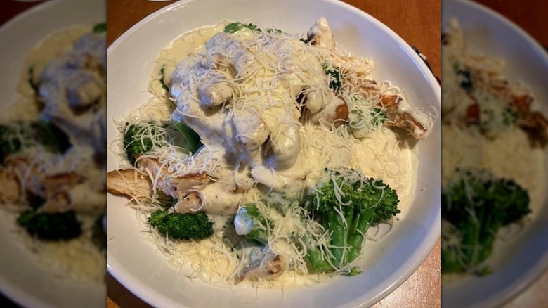 broccoli, chicken, and Alfredo sauce