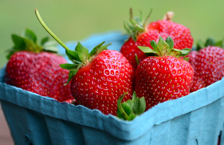 Refusal to Support Strawberry Farm Workers 