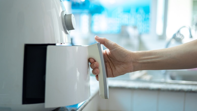 Person opening air fryer