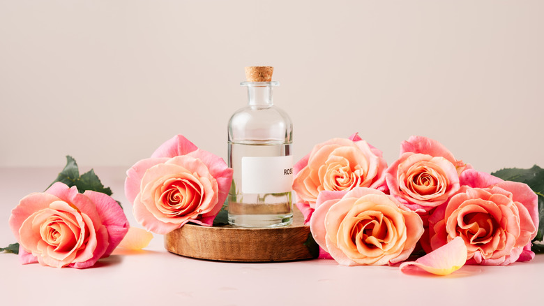 Glass bottle of rose water surrounded by fresh pink roses