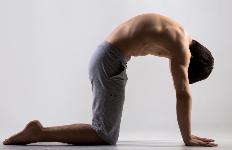 Cow Pose — Bitilasana