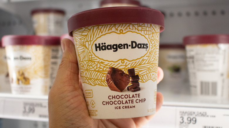 Haagen-Dazs chocolate chocolate chip pint