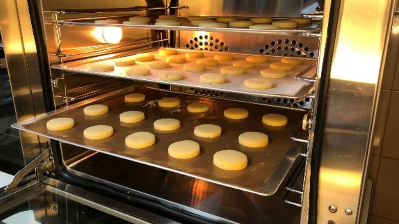 open oven with cookies